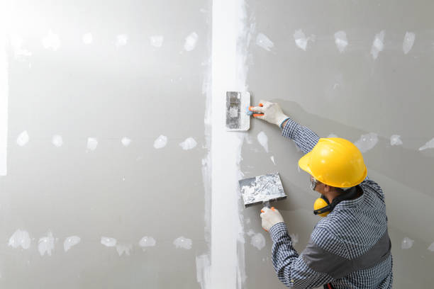 Mold Odor Removal Services in Woodside, PA