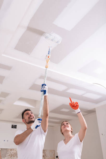 Reliable Woodside, PA Mold Removal Solutions